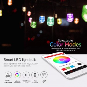 Fixed Competitive Price China High Quality Dual Light RGB Remote Control Outdoor IP65 Waterproof Christmas LED String Light for Festivals Decoration